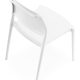 Ara Chair White