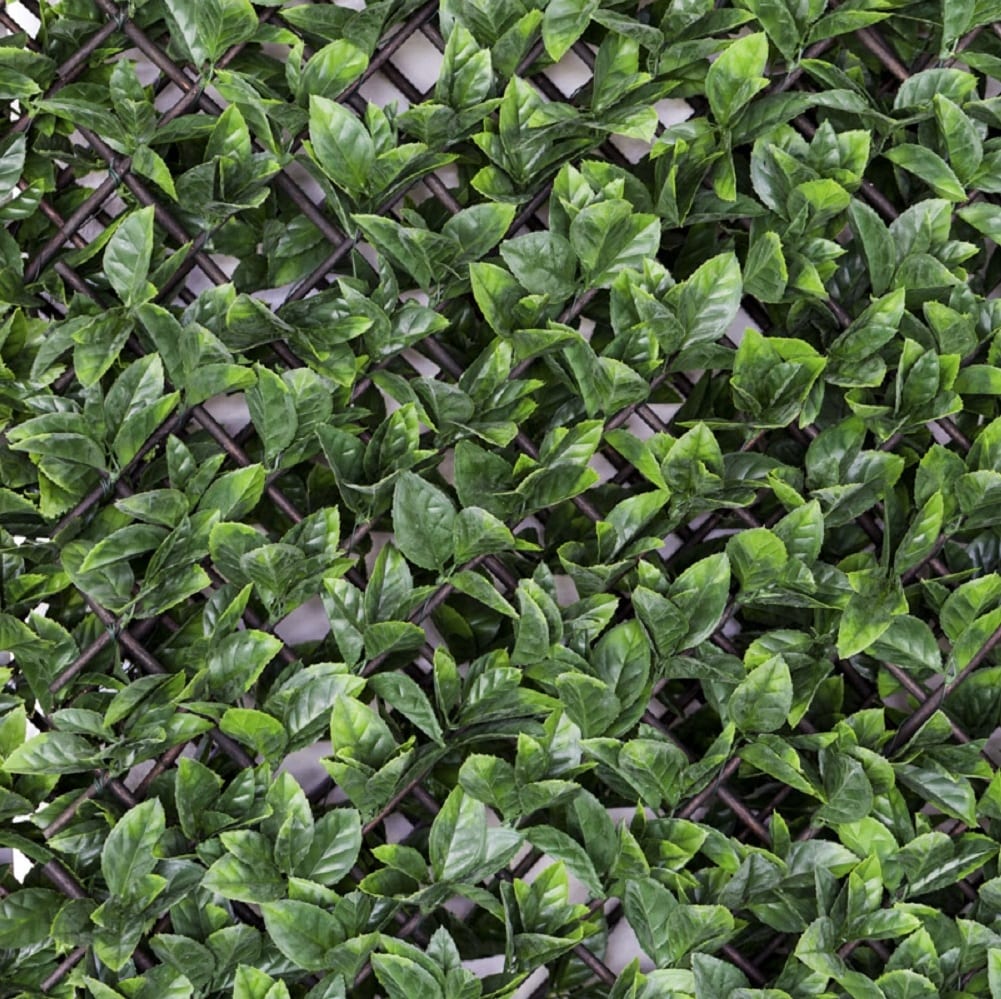 Green Wall Tiles